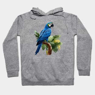 Hyacinth Macaw Hoodie